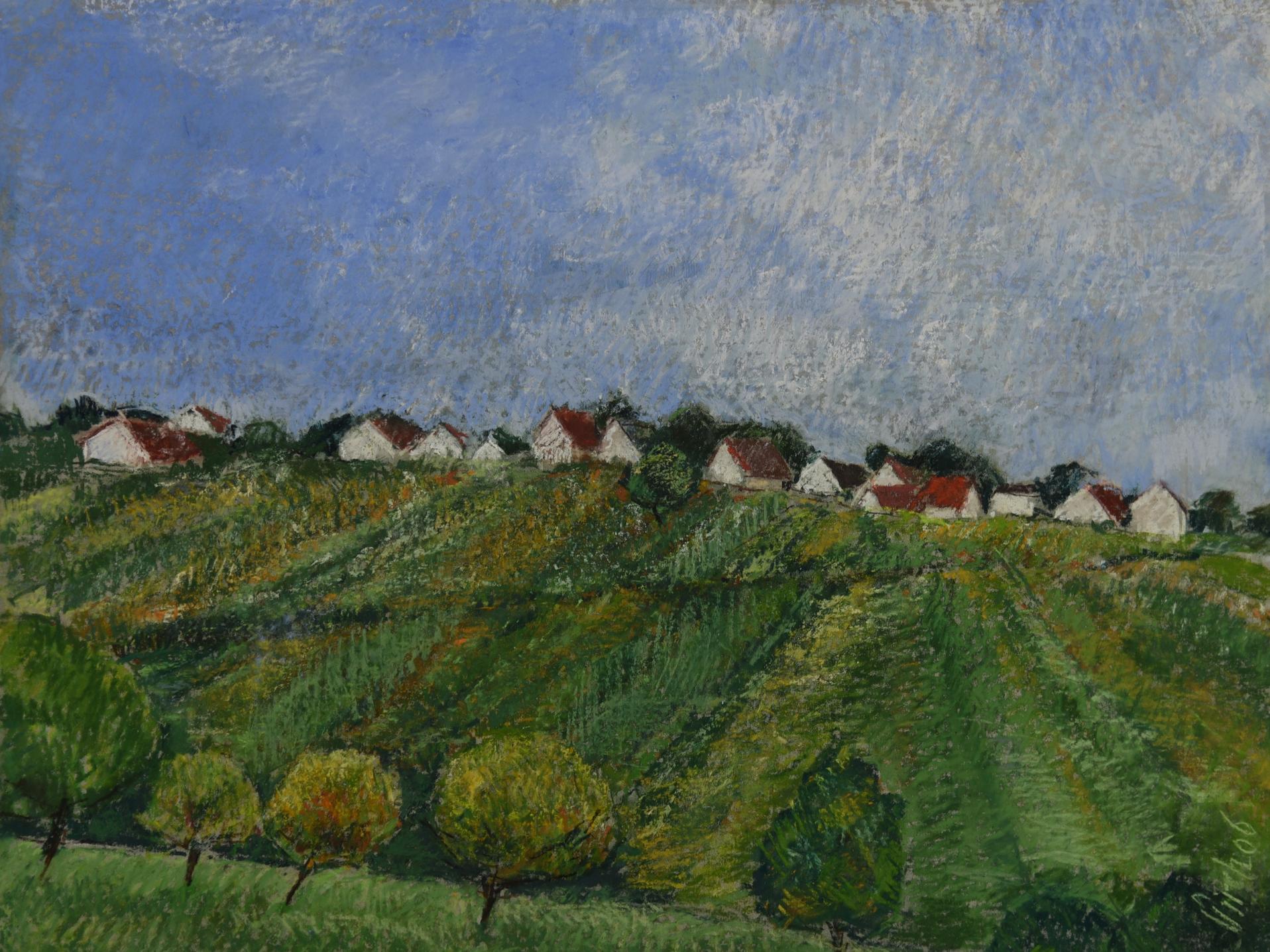 Am Grenzweg von Harro Pirch